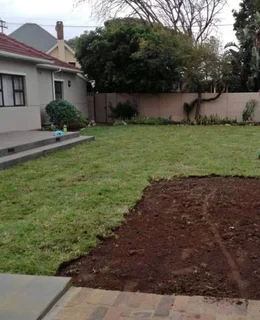 Decorative stones pebbles// compost and buffalo instant roll on lawn