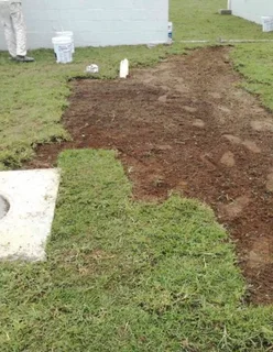 Decorative stones pebbles// compost and buffalo instant roll on lawn