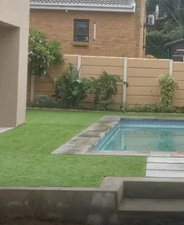 Instant roll on lawn grass// topsoil and decorative stones pebbles