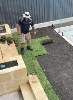 Instant roll on lawn grass