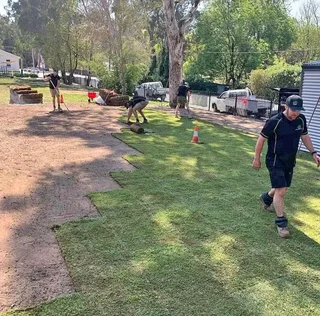 Instant roll on lawn grass// buffalo grass// kikuyu grass and decorative stones pebbles