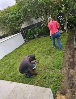 Instant roll on lawn grass// buffalo grass// kikuyu grass and decorative stones pebbles