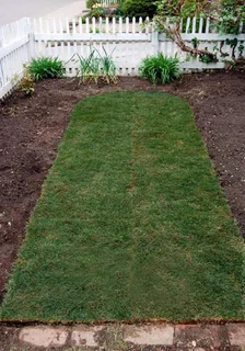 Instant roll on lawn grass // buffalo grass// kikuyu grass and decorative garden stones