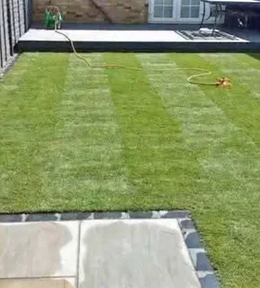 Landscape lawn grass /: compost// buffalo grass// kikuyu grass