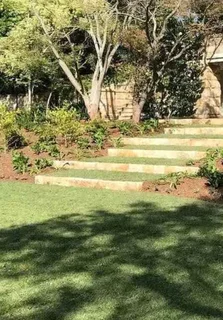 Landscape lawn grass /: compost// buffalo grass// kikuyu grass