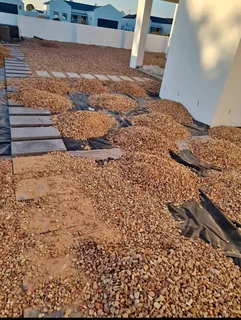 Artifical grass lawn and instant roll on lawn grass