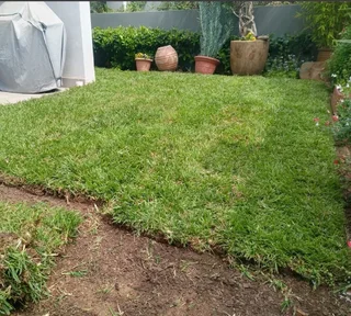 Buffalo grass// kikuyu grass and decorative stones pebbles