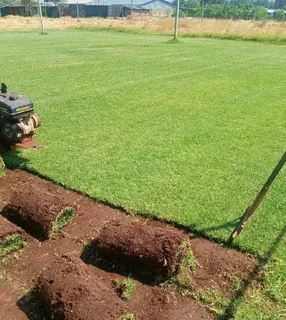 Decorative stones pebbles// instant roll on lawn grass// buffalo pebbles// kikuyu grass