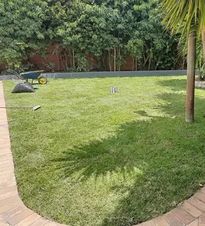 Decorative stones pebbles// instant roll on lawn grass// buffalo pebbles// kikuyu grass