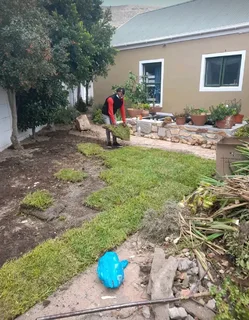 Instant roll on lawn grass// buffalo grass// kikuyu grass// decorative stones pebbles