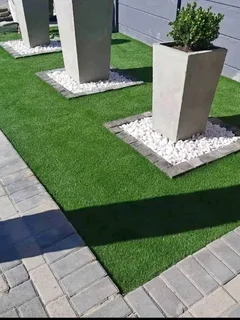 Instant roll on lawn grass// buffalo grass/kikuyu grass and compost