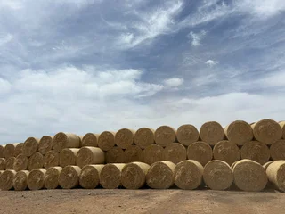 Gars en Koringstrooi Bale R275 per baal.