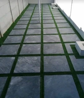 Instant roll on lawn grass// buffalo grass// kikuyu grass