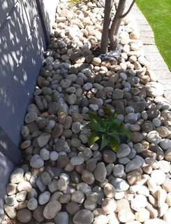 Buffalo grass// compost// decorative stones plus