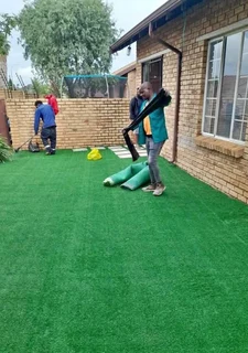 Instant roll on lawn grass// buffalo grass