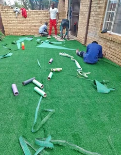 Instant roll on lawn grass// buffalo grass and kikuyu grass