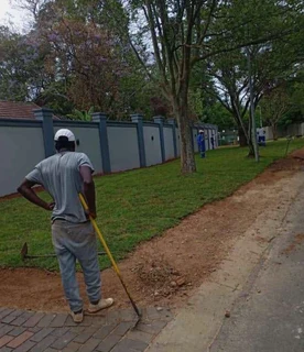 Instant roll on lawn grass// buffalo grass and kikuyu grass