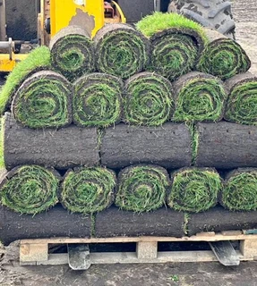 Instant roll on lawn grass// buffalo grass// decorative stones pebbles// artificial grass