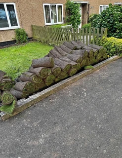 Instant roll on lawn grass and artificial turf grass