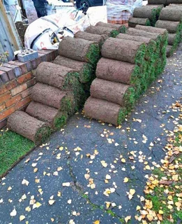 Instant roll on lawn grass and artificial turf grass