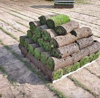 Artifical grass and natural grass