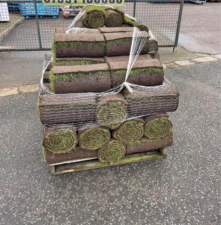 Artifical grass and natural grass