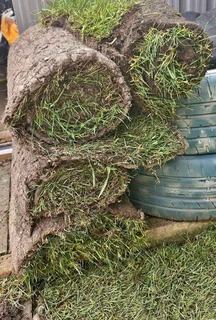 Artifical grass and natural grass