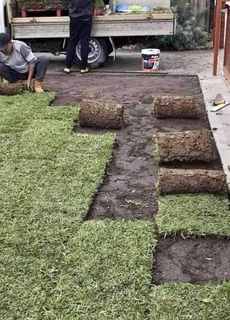 Buffalo grass// kikuyu grass// decorative stones pebbles