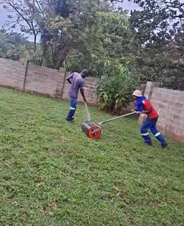 Instant roll on lawn grass and decorative stones pebbles