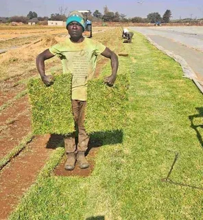 Instant roll on lawn grass and decorative stones pebbles