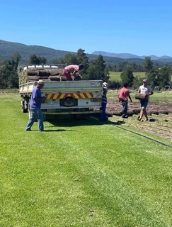 Instant roll on lawn grass and decorative stones pebbles