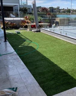 Instant roll on on lawn grass// buffalo grass// kikuyu grass