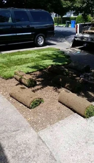 Buffalo instant roll on lawn grass// garden stones pebbles