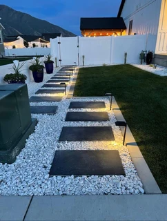 Instant roll on lawn grass// buffalo grass// kikuyu grass