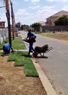 Instant roll on lawn grass and decorative stones pebbles