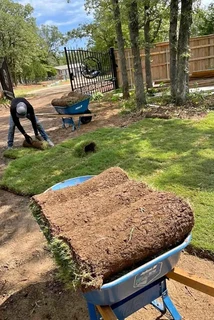 Instant roll on lawn grass// buffalo grass//kikuyu grass