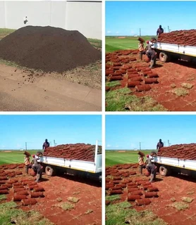 Buffalo grass// kikuyu grass// decorative stones pebbles