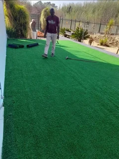 Buffalo grass// kikuyu grass// decorative stones pebbles