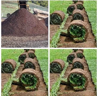 Buffalo grass// kikuyu grass// decorative stones pebbles