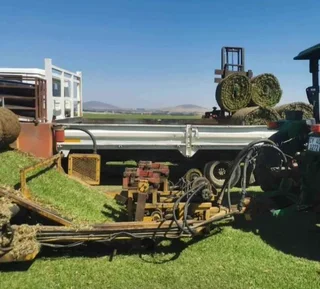 Artificial synthetic grass and natural roll on lawn grass