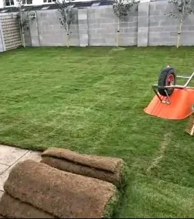 BUFFALO GRASS ///KIKUYU GRASS INSTANT ROLL ON LAWN GRASS AND DECORATIVE STONES PEBBLES