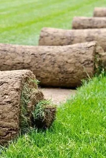 BUFFALO GRASS ///KIKUYU GRASS INSTANT ROLL ON LAWN GRASS AND DECORATIVE STONES PEBBLES
