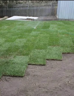 Compost,topsoil, lawn dressing kikuyu,buffalo instant roll on lawn