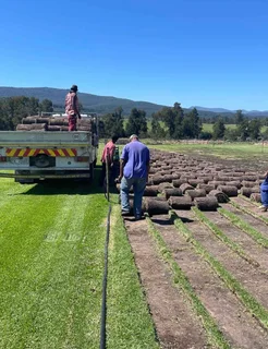Instant roll on lawn grass// artificial turf grass