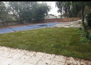 Buffalo grass// kikuyu grass// decorative stones pebbles