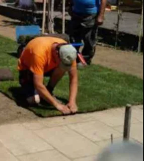 Buffalo grass instant roll on lawn grass// decorative stones pebbles and artificial grass installati