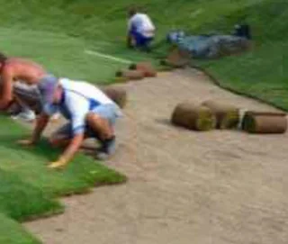 Buffalo grass instant roll on lawn grass// decorative stones pebbles and artificial grass installati