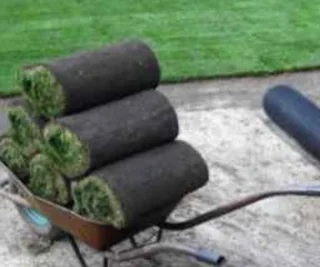 Buffalo grass instant roll on lawn grass// decorative stones pebbles and artificial grass installati