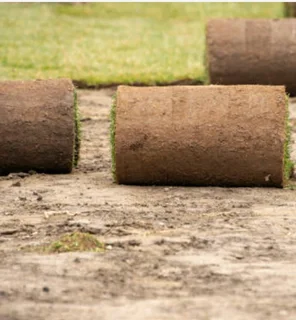 Instant roll on lawn grass// buffalo grass// artificial turf grass installation