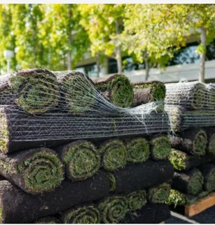 Instant roll on lawn grass// buffalo grass// artificial turf grass installation